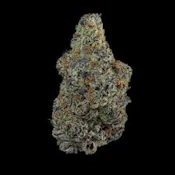 Grape Cream Cake 3.5GM (I)