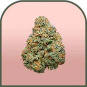 Dark Rainbow | Pre-packed 7g