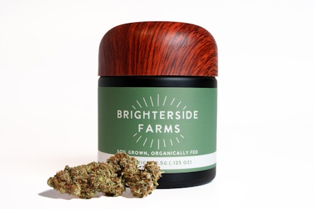 Brighterside -  Flower | Buds | Brighterside | Oreoz | 3.5g
