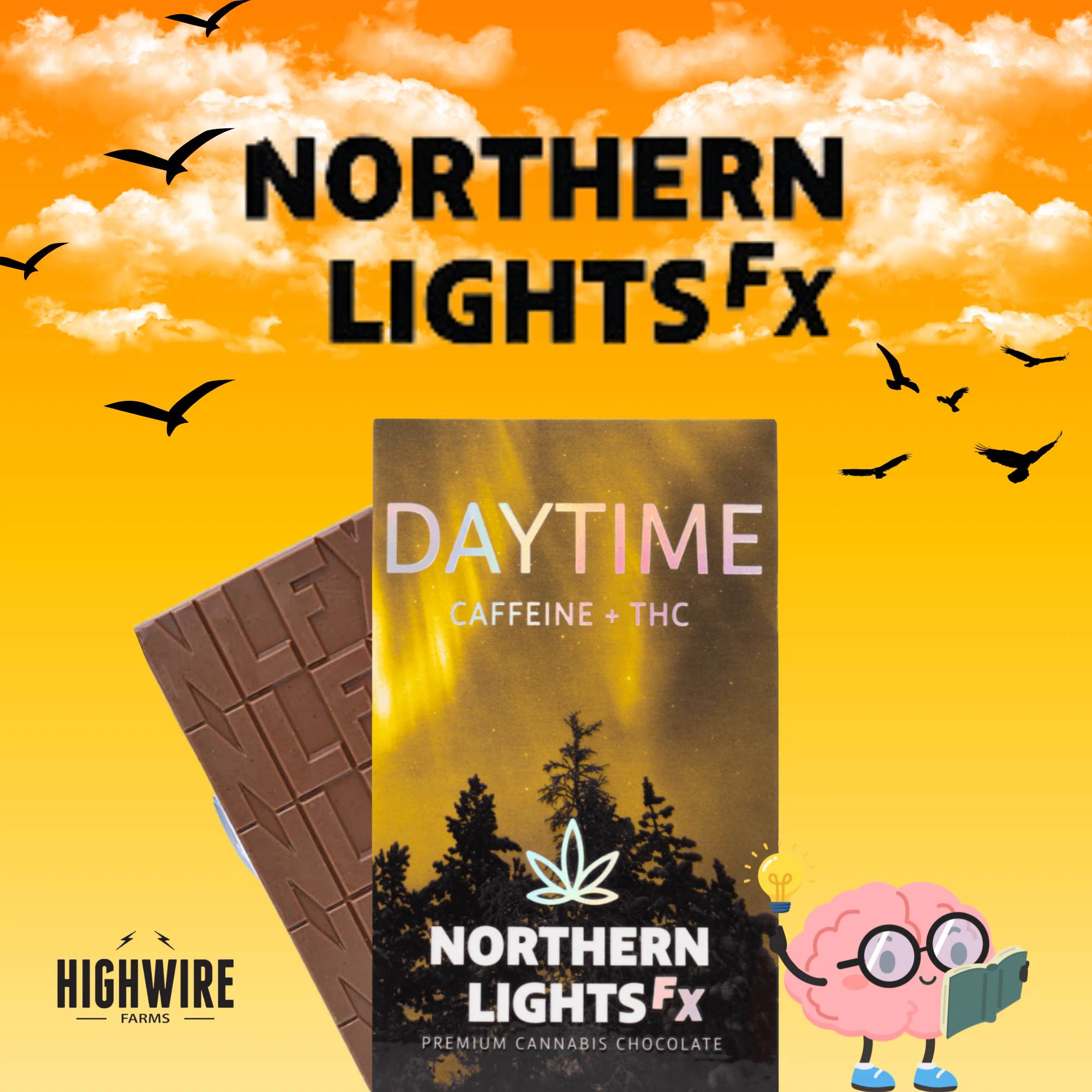 Northern Lights FX - Northern Lights FX Chocolate Bar Daytime + Caffeine 200mg Main Image