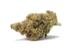 Daze Off | Super Silver Haze | Smalls | 7g