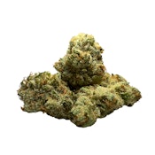 Trainwreck - 3.5g (S) - Daze Off