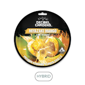 Decibel Garden - Miyazaki Mango - Flower - 14.0g