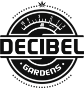 DECIBEL GARDENS: *WEEKEND SALE* Decibel OG 3.5g (H) *LIMITED EDITION*