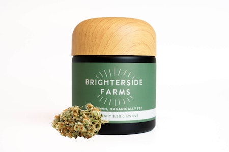Brighterside - Brighterside | Flower | Deep Dark Blueberry | 3.5g
