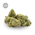 Product Preview Image 2