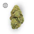 Product Preview Image 1