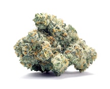 Delighted | Ego Trip | 7g