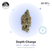 DSC - Depth Charge