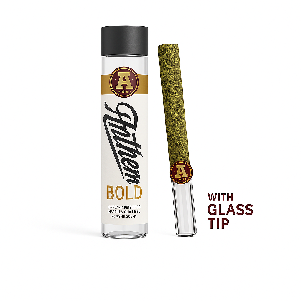 Bold | Jack Herer - Glass Tip Infused - 1g Preroll