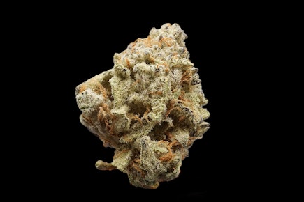 Devil Driver Bulk Flower