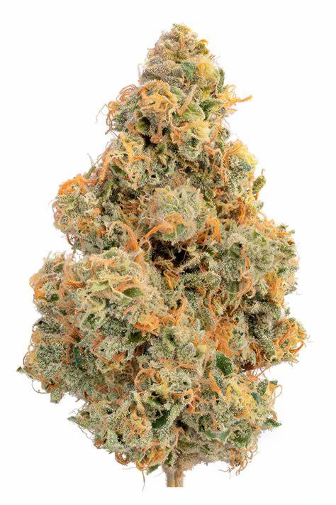 Harbor Harvest - Harbor Harvest | Devil's Toast | 3.5G Main Image
