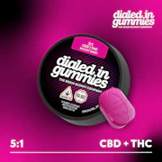 Dialed In - Rosin Gummies - Relax - Rocket Berry - 100mg 5:1