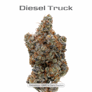 True Genetics - True Genetics - Diesel Truck - 3.5g