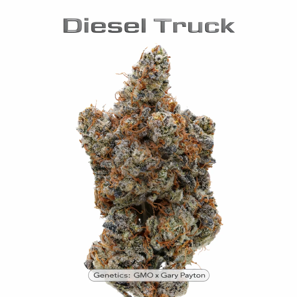 True Genetics - True Genetics - Diesel Truck - 3.5g Main Image