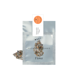 Hudson Cannabis - Hudson Cannabis - Starlink Dimes - .7g bag - Flower