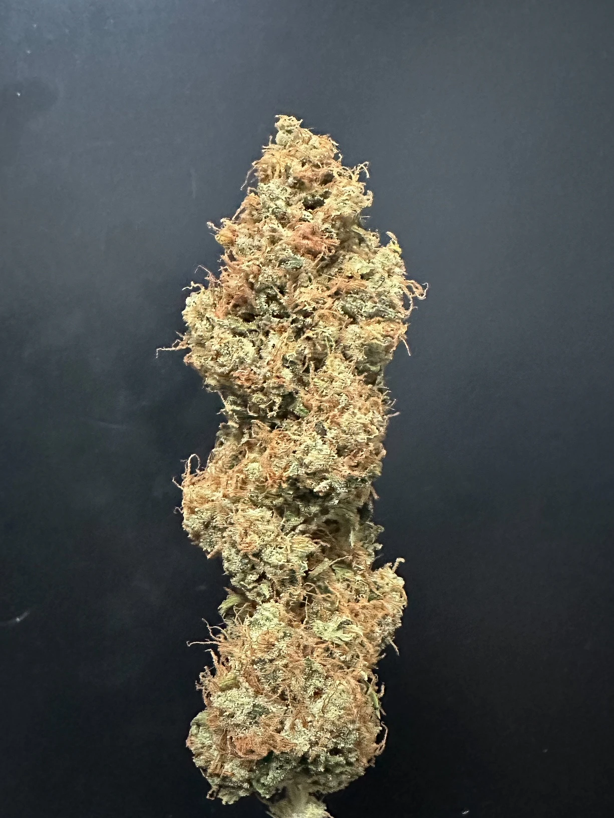 ALTERNATIVE SOLUTIONS - Dinafem Diesel 3.5 Gram Jar By Alt Sol Main Image