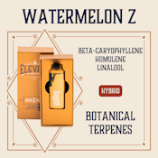 ELEVATE - WATERMELON Z 1 GRAM DISPOSABLE VAPE