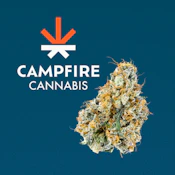 Gary Payton | Flower Case | Pre-Packed 4g (Campfire Cannabis)