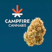 Orange Runtz | Flower Case | Pre-Packed 4g (Campfire Cannabis)