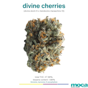 MOCA Flowers - 1/8th Mylar Bag - Divine Cherries