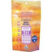 Synergy Berry Focused 2:1:1 CBG:CBD:THC 200mg 10 Pack Gummies - Dixie