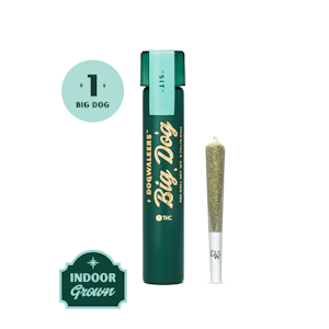 DOGWALKERS - Dogwalkers | Animal Face |1x Pre-roll | "sit" indica