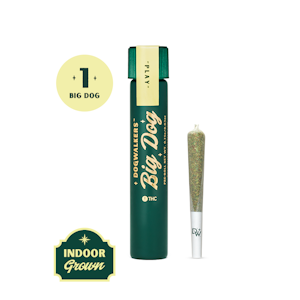 DOGWALKERS - Dogwalkers | Night Owl Haze | 0.75 Pre-roll | "Play" Sativa