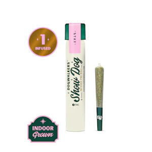 Dogwalkers - Fat Billy Stay | Preroll Infused | 1g x 1pk | Dogwalkers