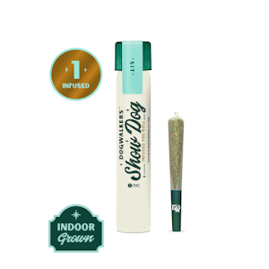 Dogwalkers - GMO - 1G Infused Preroll