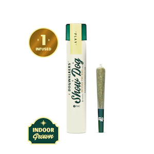 DOGWALKERS - Dogwalkers| Chicken n' Waffles  | Infused Show Dog "PLAY" Big Pre-Roll 1g