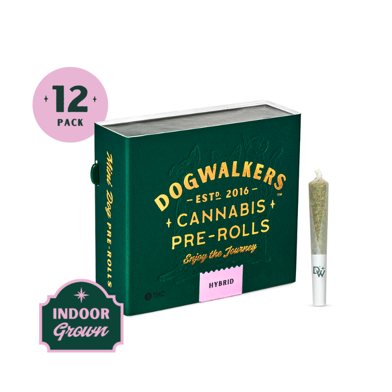 Creamsicle Sunset (Stay) 12pk - 4.2g - Preroll