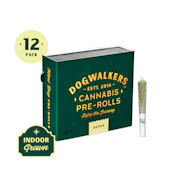 Dogwalkers | Night Owl Haze (Play) - 12pk Preroll