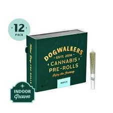 Animal Scout #10 (Sit) 5pk/1.75g Prerolls