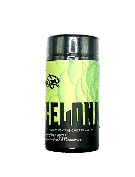 elfbar elfa kaufen NEW DOJA 1ML (EMPTY VAPE) main image 1