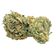 Dolatto | Indica | $20