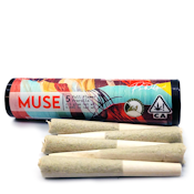 Next Day - Nimbus Snack 5 Pack Preroll (2.5g)