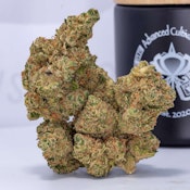 (D) Advanced Cultivators | Dolomite Delight (H) - Flower