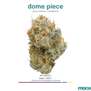 MOCA Flowers - MOCA Flowers - 1/8th Mylar Bag - Dome Piece 