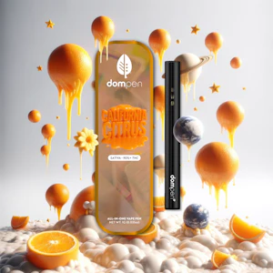 DISTRICT CANNABIS - California Citrus 1G DISPOSABLE Dompen Vape