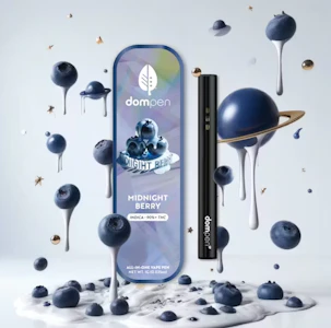 dompen - dompen | Midnight Berry | Rechargeable All-In-One Vape | 1g