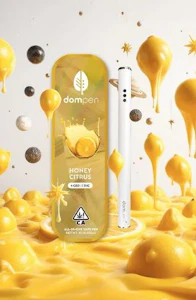 DOMPEN - Dompen Ratio All In One 1g Honey Citrus CBD 4:1