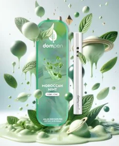 DOMPEN - Dompen Ratio All In One 1g Moroccan Mint CBD 1:1
