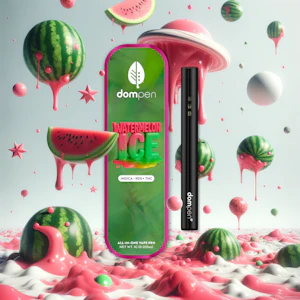 DISTRICT CANNABIS - Watermelon Ice 1G DISPOSABLE Dompen Vape