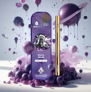 DOMPEN - Dompen x EVOL by Future All In One 1g Pluto Grape