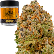 DGG Runtz 3.5g Jar - Don Primo