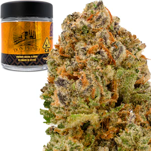 Don Primo - DGG Runtz 3.5g Jar - Don Primo