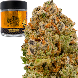 Don Primo - DGG Runtz 3.5g Jar - Don Primo