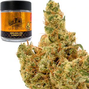 Don Primo - Dutch Treat 3.5g Jar - Don Primo