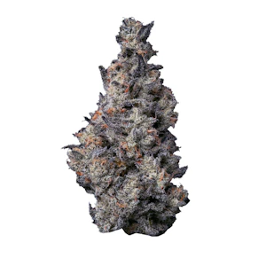 FIG FARMS - Donut Shop - 3.5g (SH) - Fig Farms